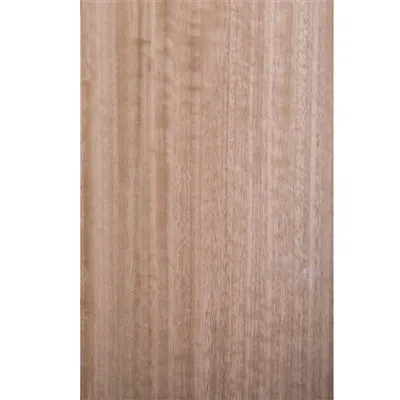 Eucalyptus rechte korrelfineer